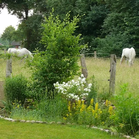 Pottkiekerhus Appartement